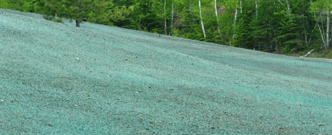 Hydroseeded Field in the Springtime