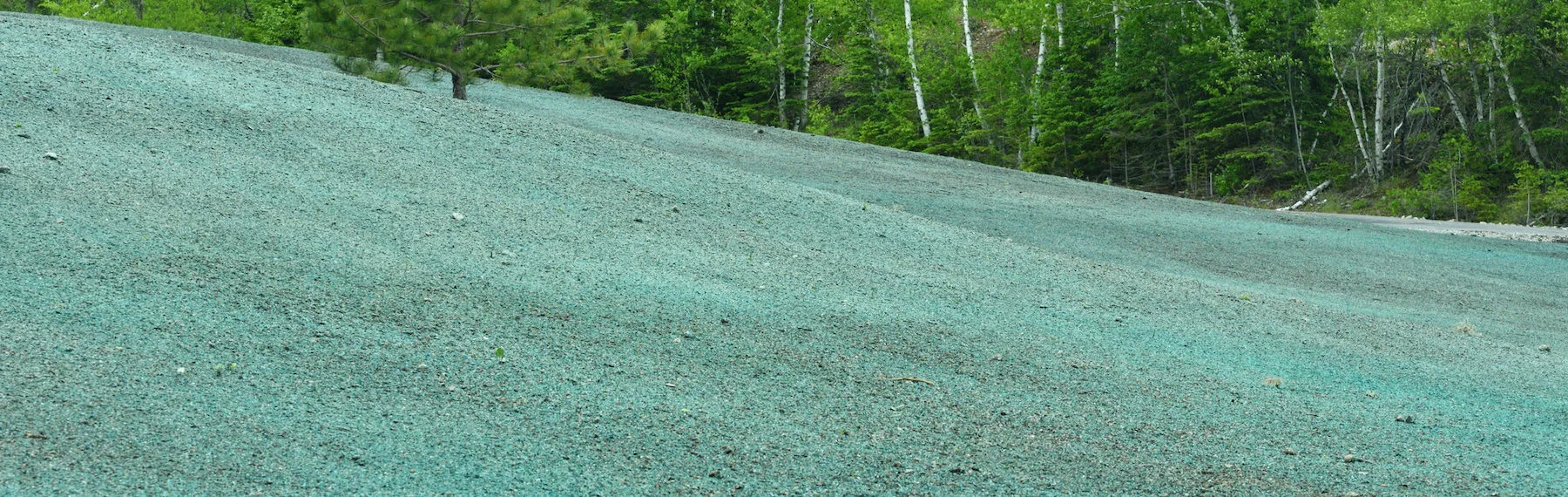 Hydroseeded Field in the Springtime