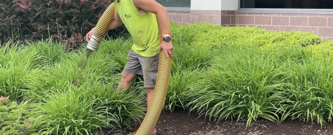 landscaper blowing bark mulch with mulch blower